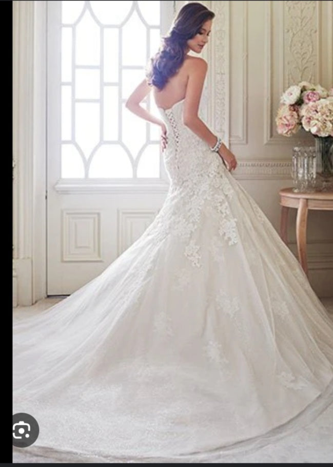 Sophia Tolli - Y21430