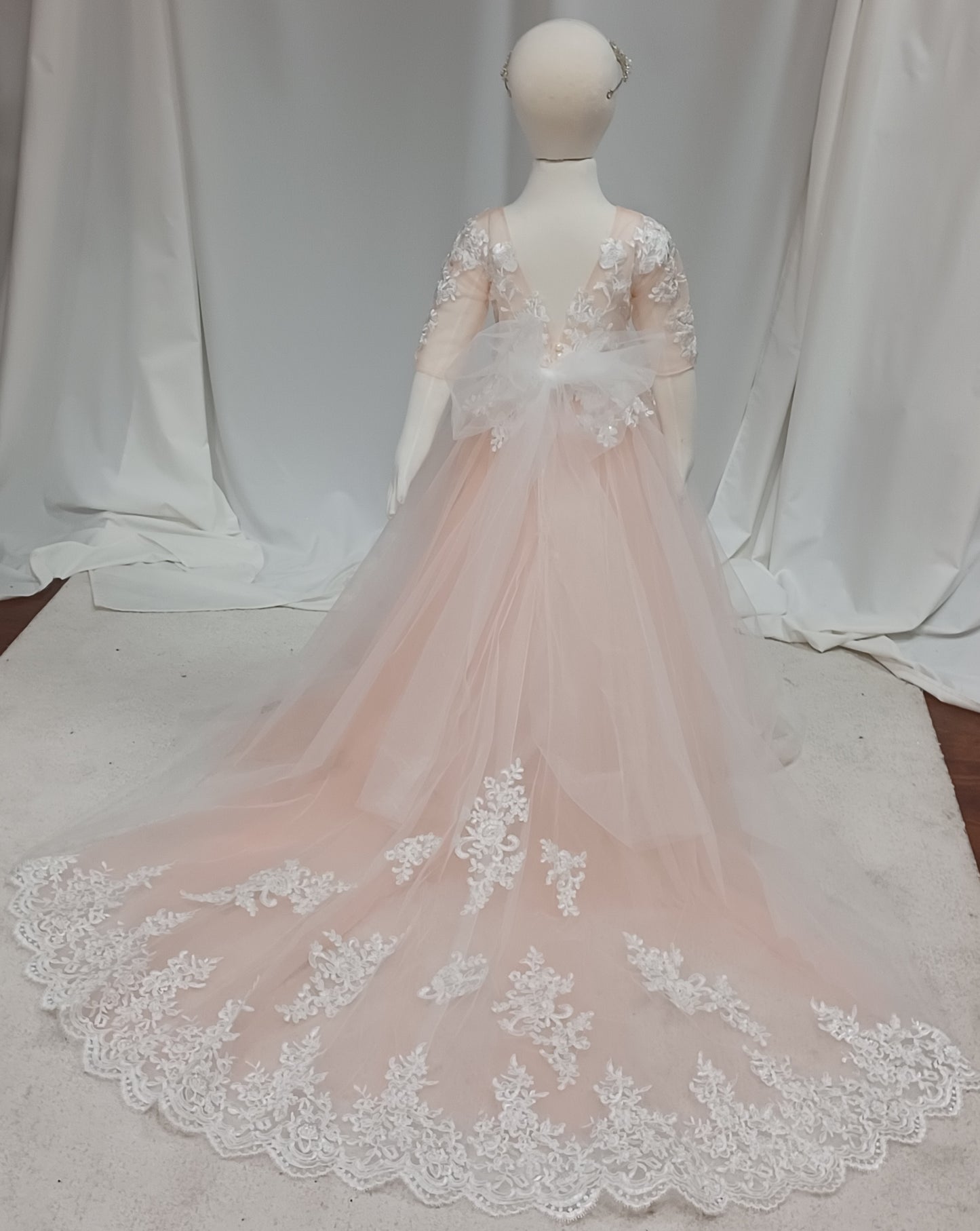 Ariel -Long Sleeve Blush Lace Applique & Train