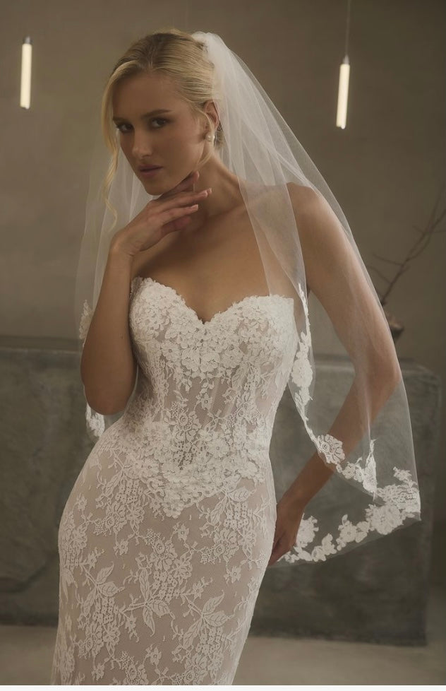 2634 - Darcy
