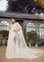 Load image into Gallery viewer, 2484 - Presley