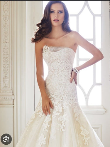 Sophia Tolli - Y21430
