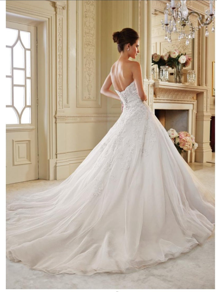 Sophia Tolli - Y21434 IDA